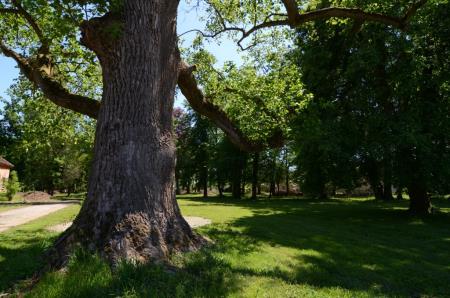 Park na Tišini